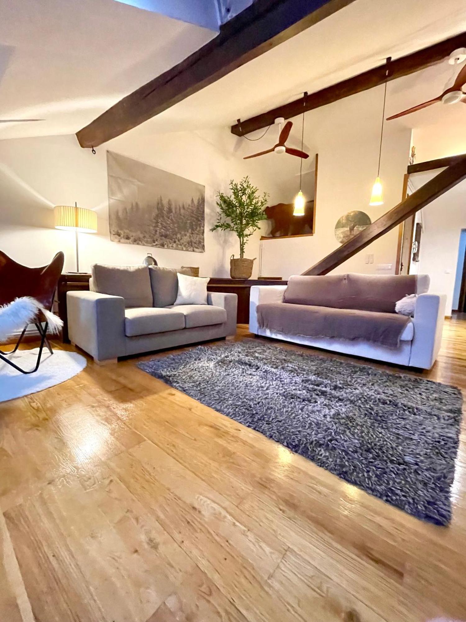 Ferienwohnung Cal Querol 2 - Atic En El Centre Puigcerdà Exterior foto